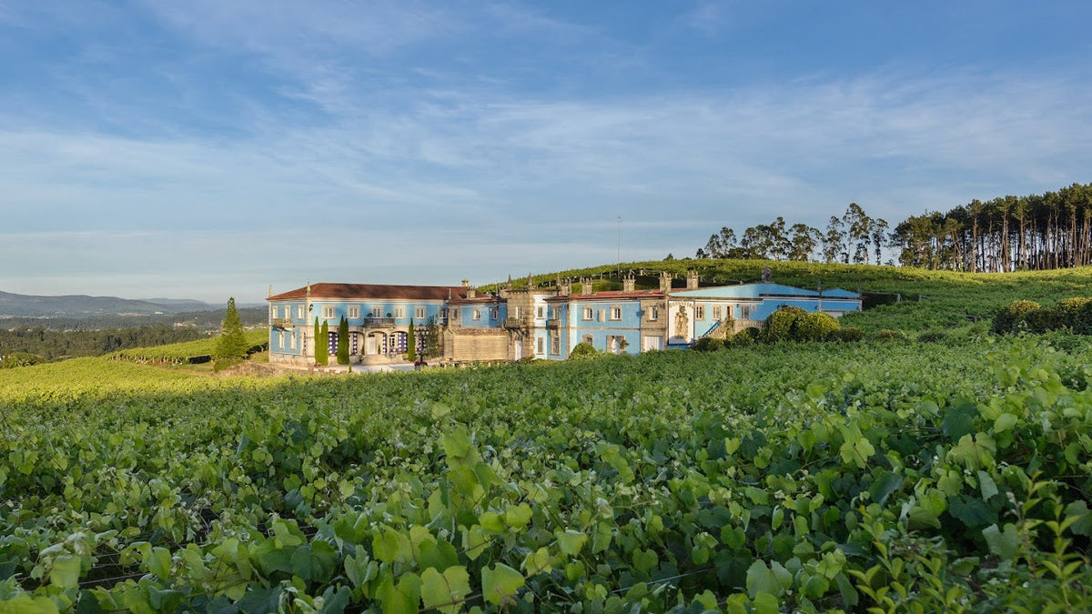 Granbazán Wineries