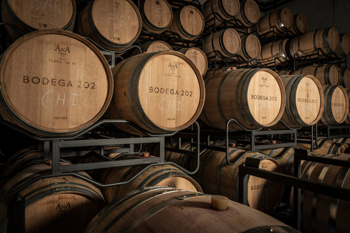 Winery 202