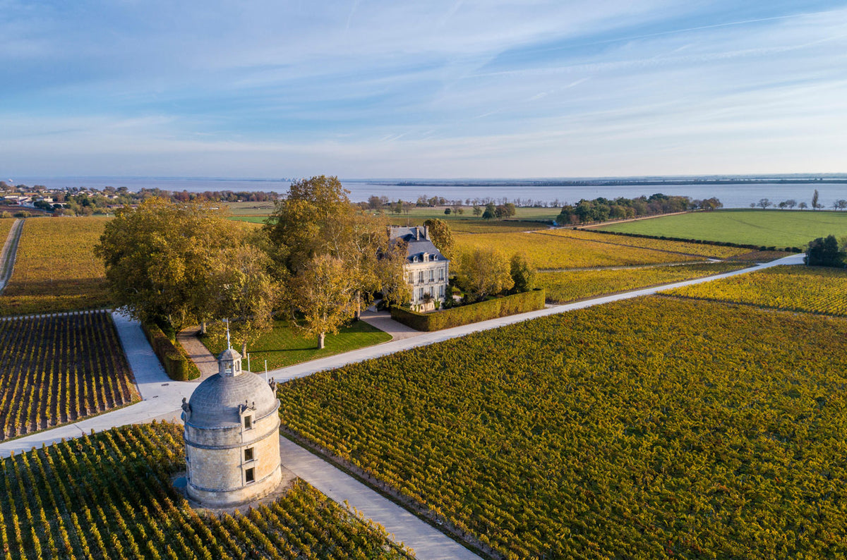 Wijnmakerij Chateau Latour