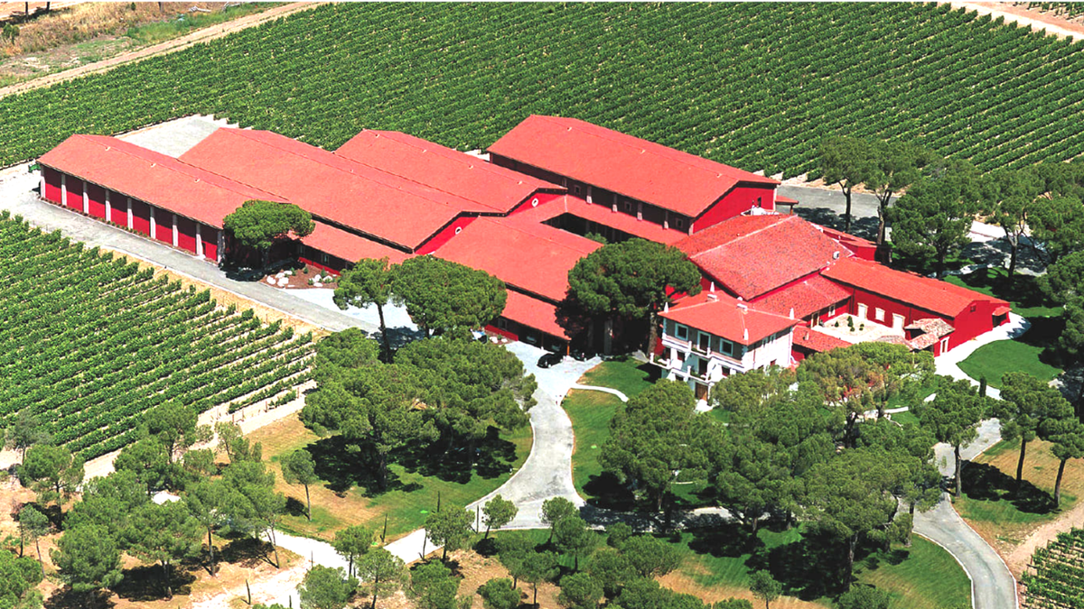 Wijnmakerij Finca Villacreces