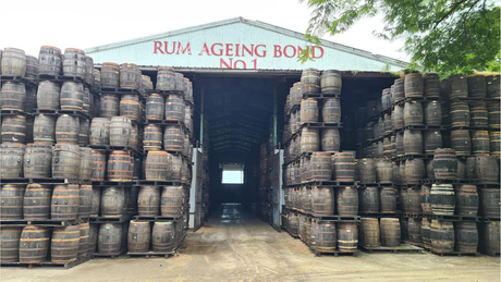 Foursquare Rum-distilleerderij