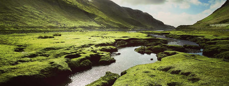 Speyside
