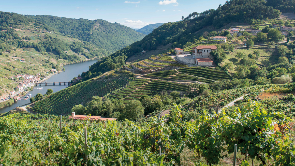 Via Romana Adegas and Vineyards