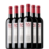 BAIGORRI Crianza 2022 x6 flessen