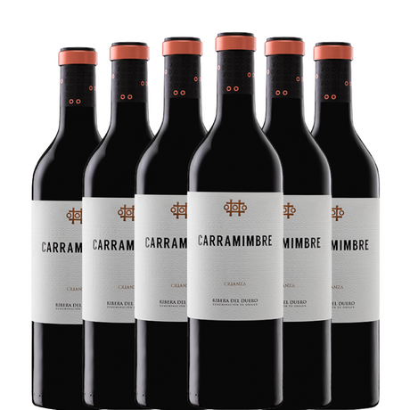 6 bottles of Carramimbre Crianza 2022