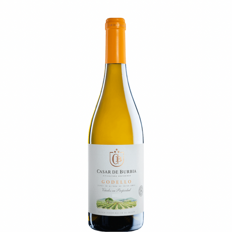 Fles Casar de Burbia Godello 2023