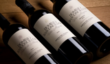 BASCONCILLOS DOMEIN Viña Magna Crianza 2022