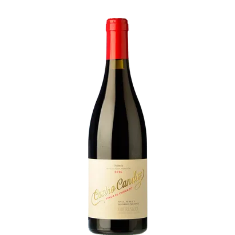 CASTRO CANDAZ Finca el Curvado 2021