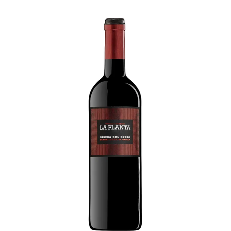 Bottle of La Planta 2023