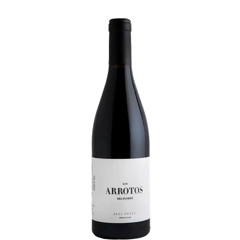 LOS ARROTOS DEL PENDON 2020