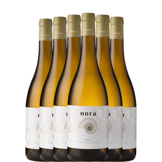 NORA 2024 x6 flessen