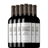 PAGO DE CARRAOVEJAS 2023 x6 flessen