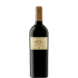 Fles San Vicente Reserva 2021
