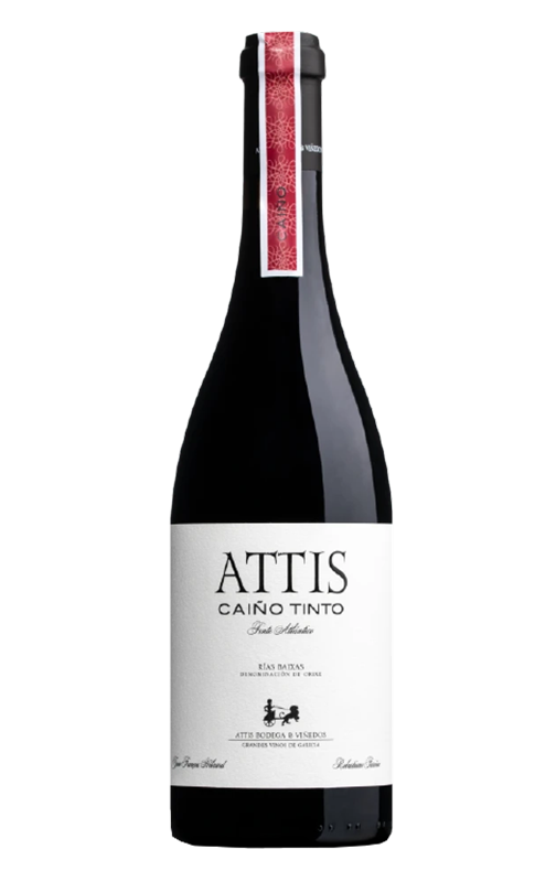 ATTIS Caiño Tinto 2018