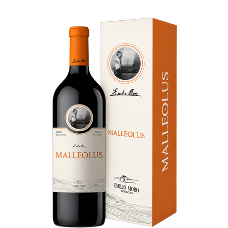 Fles Malleolus Magnum 2022
