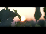 LOUIS ROEDERER-COLLECTIE 246